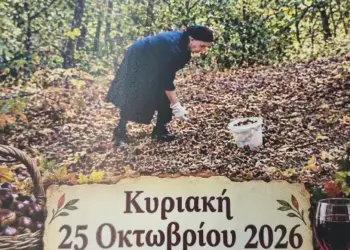 Καστανογιορτή στη Δαμασκηνιά Βοϊου