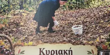 Καστανογιορτή στη Δαμασκηνιά Βοϊου