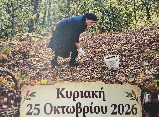 Καστανογιορτή στη Δαμασκηνιά Βοϊου
