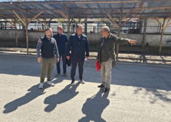 Στην τελική ευθεία για την έναρξη του «Νιάημερου» – Στον χώρο της εμποροπανήγυρης ο Δήμαρχος Κοζάνης Γιάννης Κοκκαλιάρης – Έφτασαν οι πρώτοι εκθέτες (Βίντεο+Φωτογραφίες)