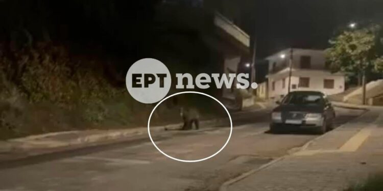 Αρκούδα κάνει βόλτες στο κέντρο του Άργους Ορεστικού