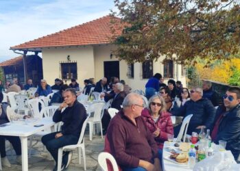 Δίλοφο Βοΐου: Η Γουρουνοχαρά, το γλέντι αποχαιρετισμού και οι επτά κάτοικοι που κρατούν ζωντανό το χωριό