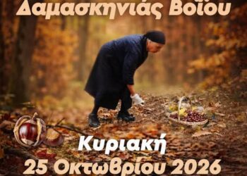 Δήμος Βοΐου: Καστανογιορτή στη Δαμασκηνιά Βοΐου