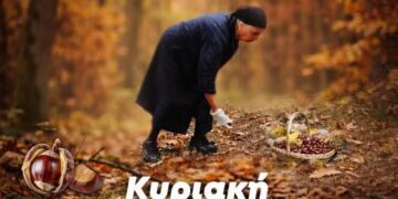 Δήμος Βοΐου: Καστανογιορτή στη Δαμασκηνιά Βοΐου