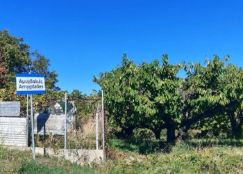 Αμυγδαλιές Γρεβενών: Ένα χωριό με ζωή αλλά χωρίς νέες γεννήσεις