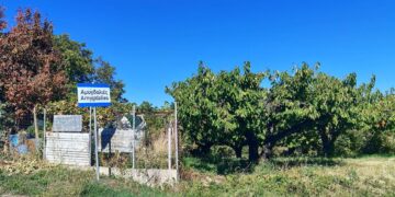 Αμυγδαλιές Γρεβενών: Ένα χωριό με ζωή αλλά χωρίς νέες γεννήσεις