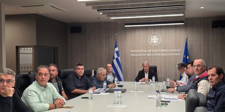Περιφέρεια Δυτικής Μακεδονίας: Σε δύο φάσεις οι εργασίες για τη Γέφυρα Πολυφύτου